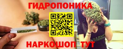 гидра Можга