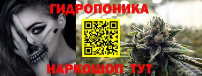 стафф Моздок