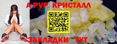 стафф Моздок