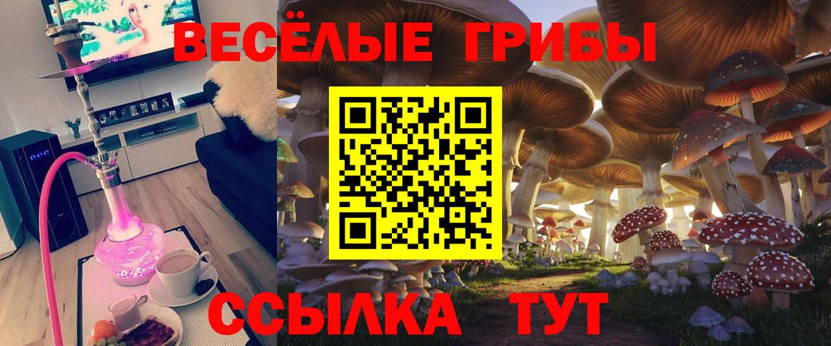 Псилоцибиновые грибы Psilocybe Верхний Уфалей